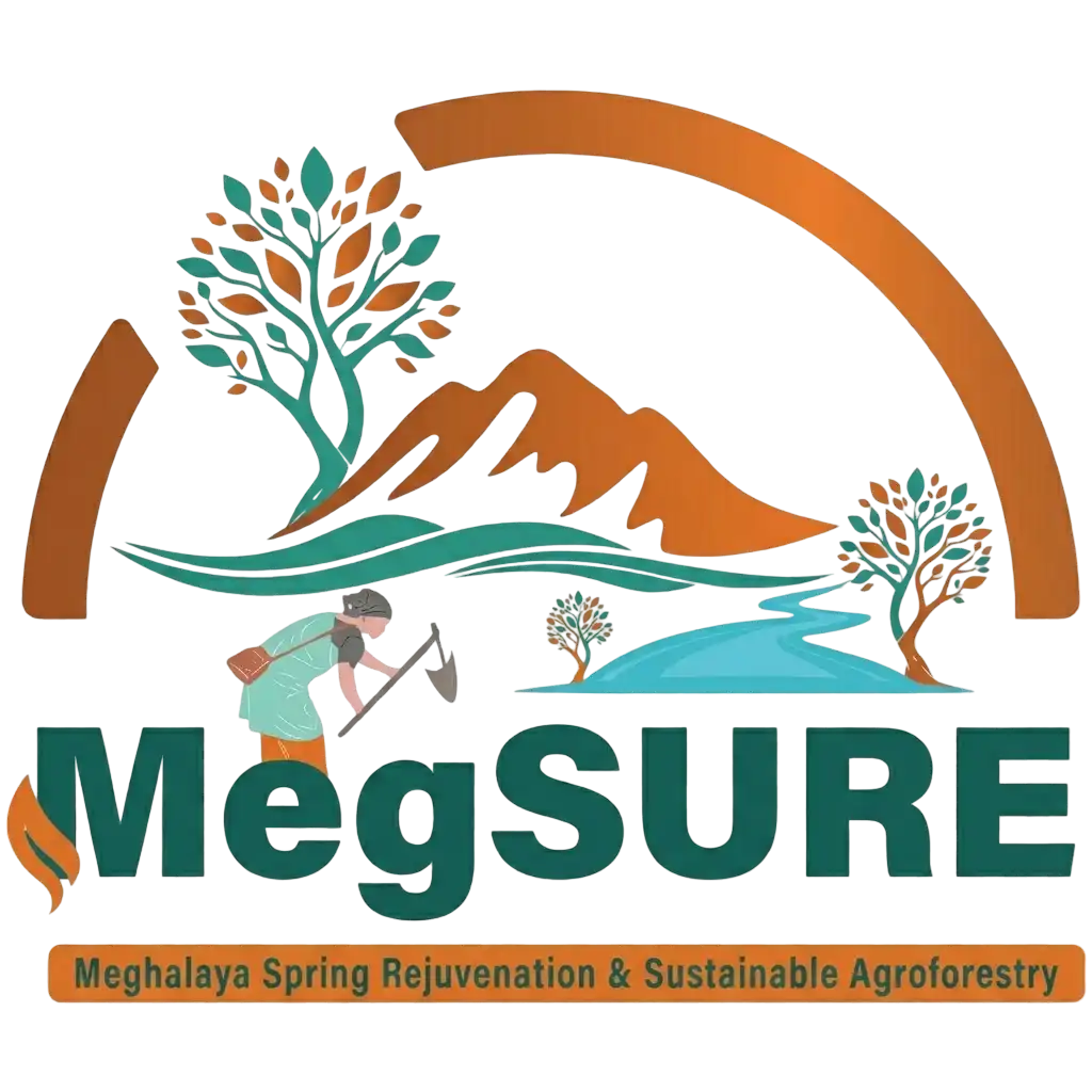 Megsure image